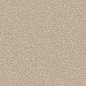 48BR Duo-R Beige R12 29,3x59,3 VIVES