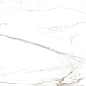 AB 1072M Regal Carrara matt 600x600 Absolut Gres