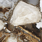 Sirius Gold Полированный 60х60 Laparet