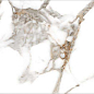 PRO 1130G Oro Bianco 1200x600 Progres