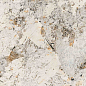 BHW-0042 Phoenix full body polished (gold) 60x120 Basconi Home