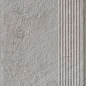 Carrizo Grey Stopnica Prosta Struktura Mat 30x60 Paradyz