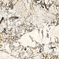K948091LPR01VTER MarbleS Аляска R9 7ЛПР 60x120 Vitra