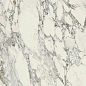 756203 Stones Arabescato White Glossy RT 80x180 Casa Dolce Casa
