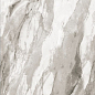 Bergen Polished Silver Carving 60x120 Realistik
