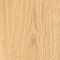 1108 Modena Honey Mate 120x20 Artcer
