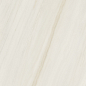 AIAO Anima Wonder Snow Liscio Matt 60x120 Caesar фото в миниатюре