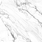 GP40PEG15R Pegas Silver Sugar 60x60 AltaCera