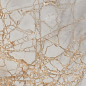 PR212 Golden Grey High glossy 600x1200 PrimaVera