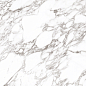 Arabescato Oscuro Soft Satin 120x120 StaroSlabs