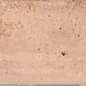 30036 Pink 6,5X20 EQUIPE