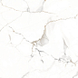 Statuario Cafe Gold Glossy 60х120 Maimoon Ceramica
