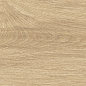 41730 Bloom Honey/24X151X0,9/A/R 24x151 Peronda фото в миниатюре 8