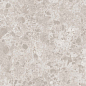 GR01 Грано Светло-серый Неполированный Рект 60x120x9 Estima фото в миниатюре