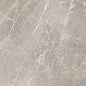766948 Elemental Grey Dolomia Nat Ret 60x60 Cerim