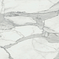 Invictus Natural 120x120 Baldocer