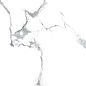 Statuario Crown полированный 60x60 Laparet