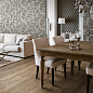 Inedito Ragno Marazzi