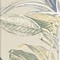 Tapis Jungle 10х30 Mainzu