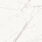 6060PFC15M Porfido Carrara матовый 600x600x9.5 Delacora