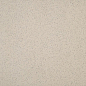 TAL61061 Taurus Granit 60x60 RAKO