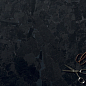Solo 41ZERO42