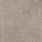 11020 Shell DG 60х120 Creto