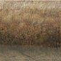 TORELO BOLONIA COTTO 3*20 Mainzu