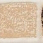 WLAMH010 CONCEPT Light beige 40x4,5 RAKO