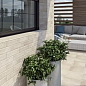 Scandiano Ochra Elewacja 7mm 24x6,5 Paradyz фото в миниатюре 19