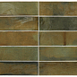30034 Wild Olive 6,5X20 EQUIPE