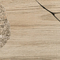 FI 1 Foliage Beige 20х80 Del Conca