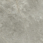 PL612574 Fior Di Bosco Lucidato ret 60x120 Ariostea