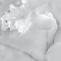 R_PR1011 Onyx Puls Polished 60x60 Royce