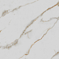 R_PR1003 Calacatta Gold Polished 60x60 Royce