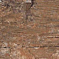 Kiwi Redroot Mat 20x120 Alpas Euro