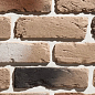 Декоративный кирпич Плоскость Орлеан 402 25-28x7-8x1,7 Leonardo Stone