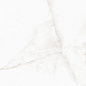 AB1004G White Onix gloss 600x600 Absolut Gres