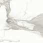 Invictus Natural 80x80 Baldocer