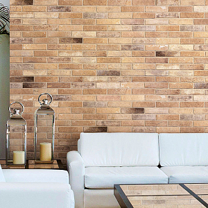 Bristol RHS (Rondine) Ceramiche
