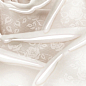 10-05-11-350-2 Нежность бежевый B 50х25 BELLEZA