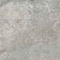 LP6012G0141R Storm Ash Pro серый матовый R10 STR 59,5х119,1 Laparet