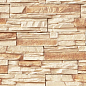 Вислер 01-01 рядовая 500х100х40 Ecostone