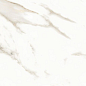 N12028 Marmol Carrara Polished 60x120 Neodom