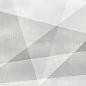 WT9SHG00 Shape Geometric White 24.9х50 AltaCera