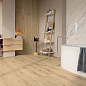 Wine Oak Atlas Concorde Russia