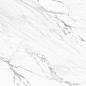 GP40PEG15R Pegas Silver sugar 600x600x9.5 AltaCera