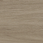 GP2090MOU21R Mountain Marron матовый 200x900 Delacora