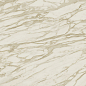 A0BH Marvel Royal Calacatta Lappato 120x278 Atlas Concorde