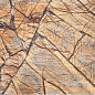 D697872BM Rainforest Brown 60x90 Gani